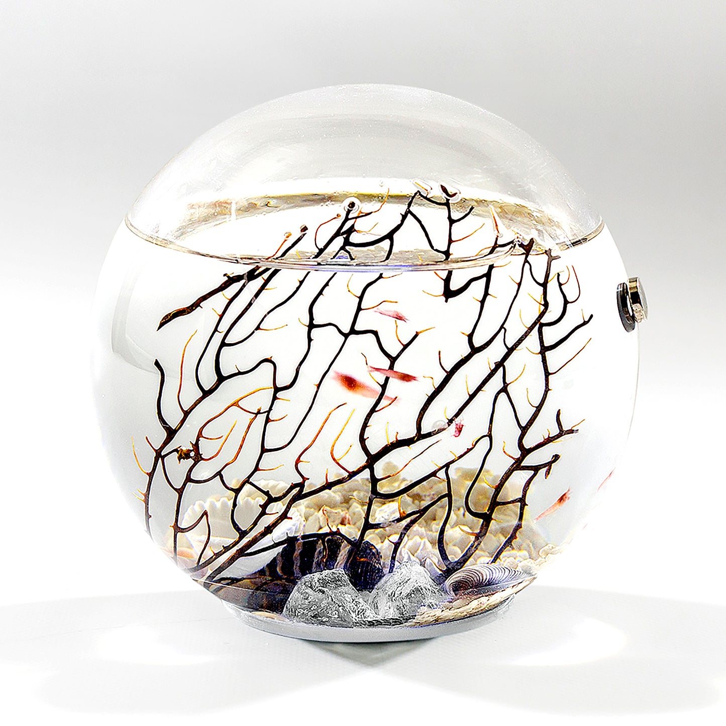 Large Round Ecosphere