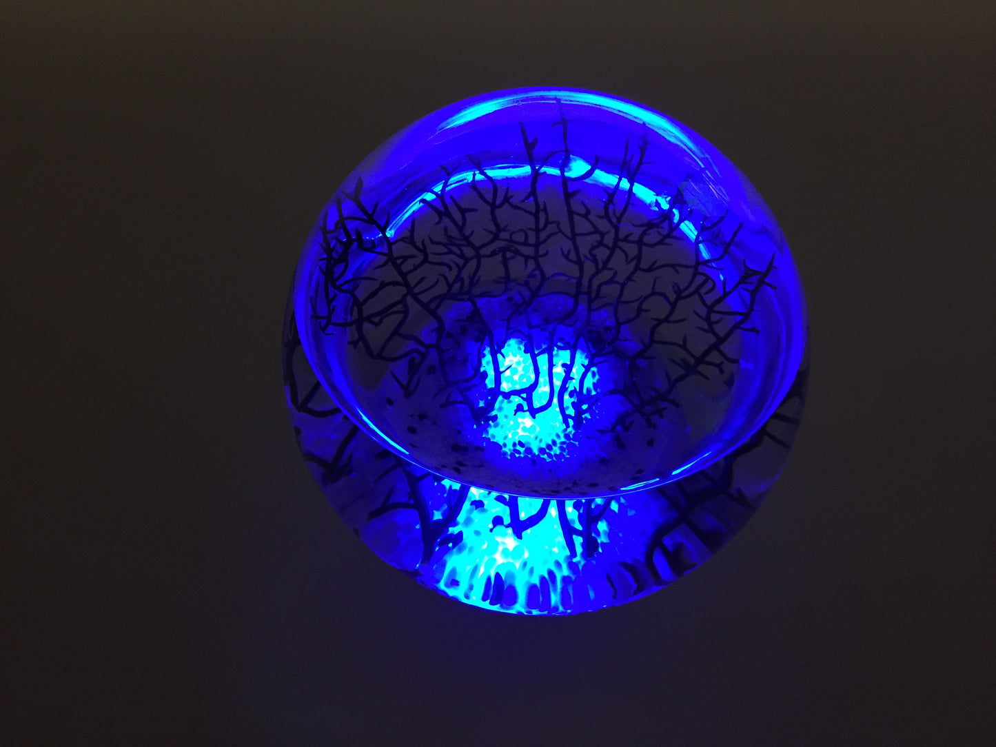 Led pedestal with colored lights