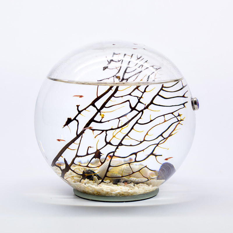 Medium Round Ecosphere