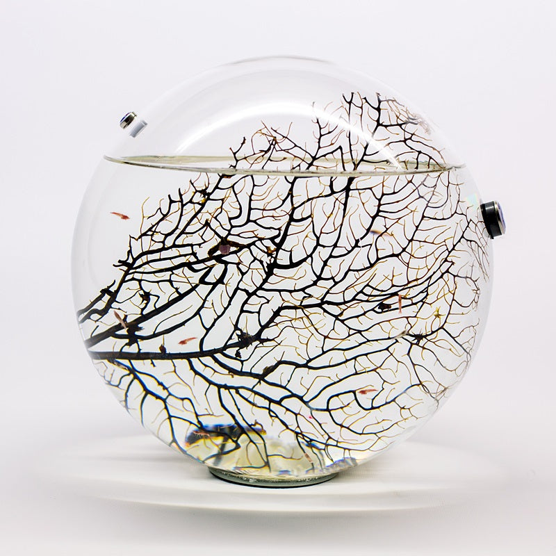 Extra Giant Round Ecosphere