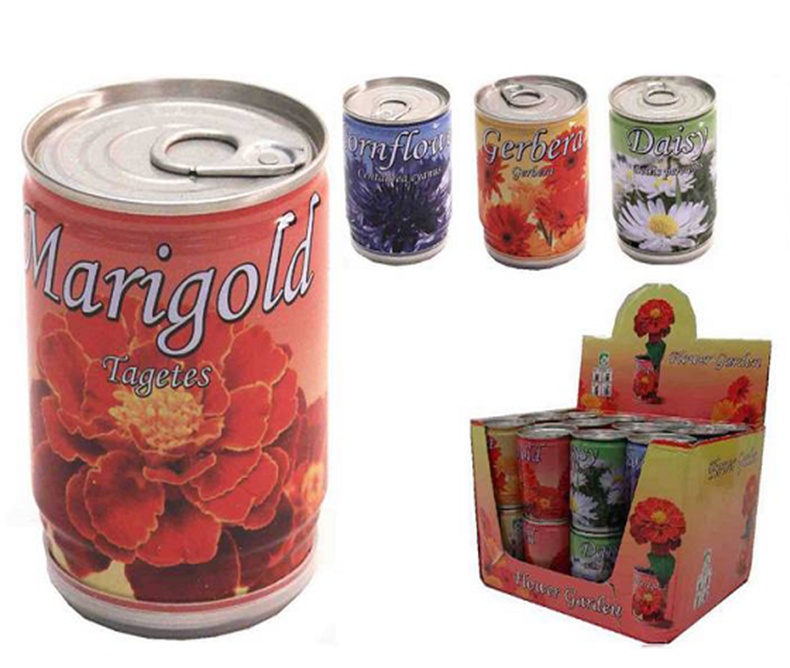 Pack Jardim de Flores