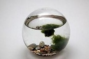 Ornarium pequeno redondo ISS