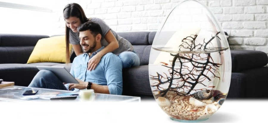 Regalos de aniversario especiales y memorables con Ecoesferas