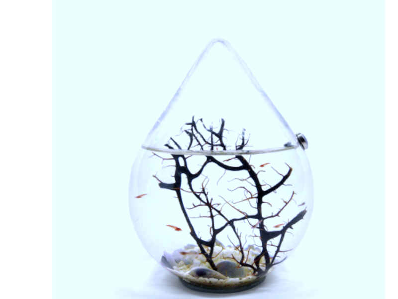 Ecosfera con forma de gota colgante con ecosistema marino