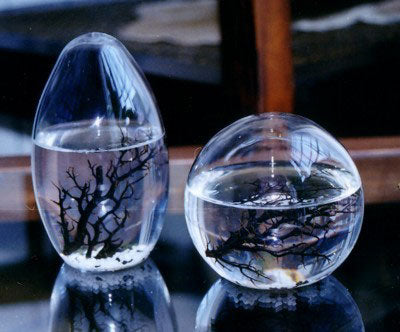 Imagen 9