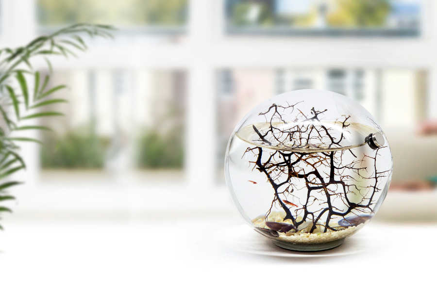 Descubre nuestras tiendas de regalos originales | Ecosferas