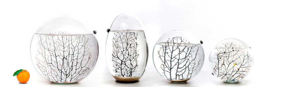 Ideas para regalar únicas y creativas | Ecosferas