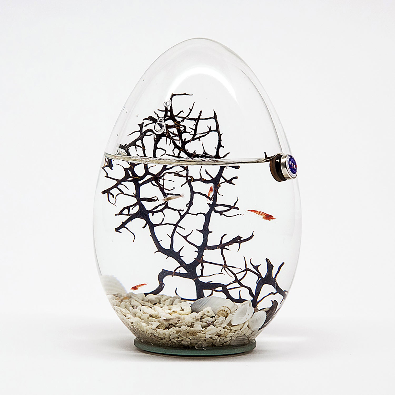 Productos singulares y fascinantes